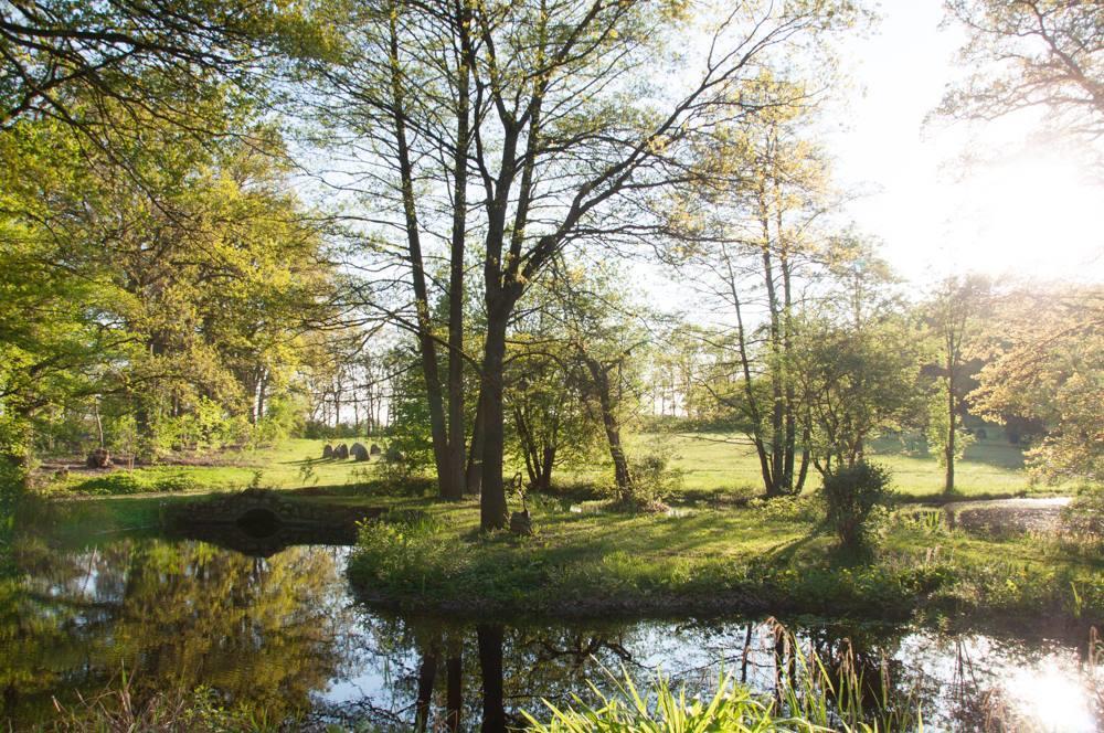 ホテル Ellernhof Dahlenburg エクステリア 写真